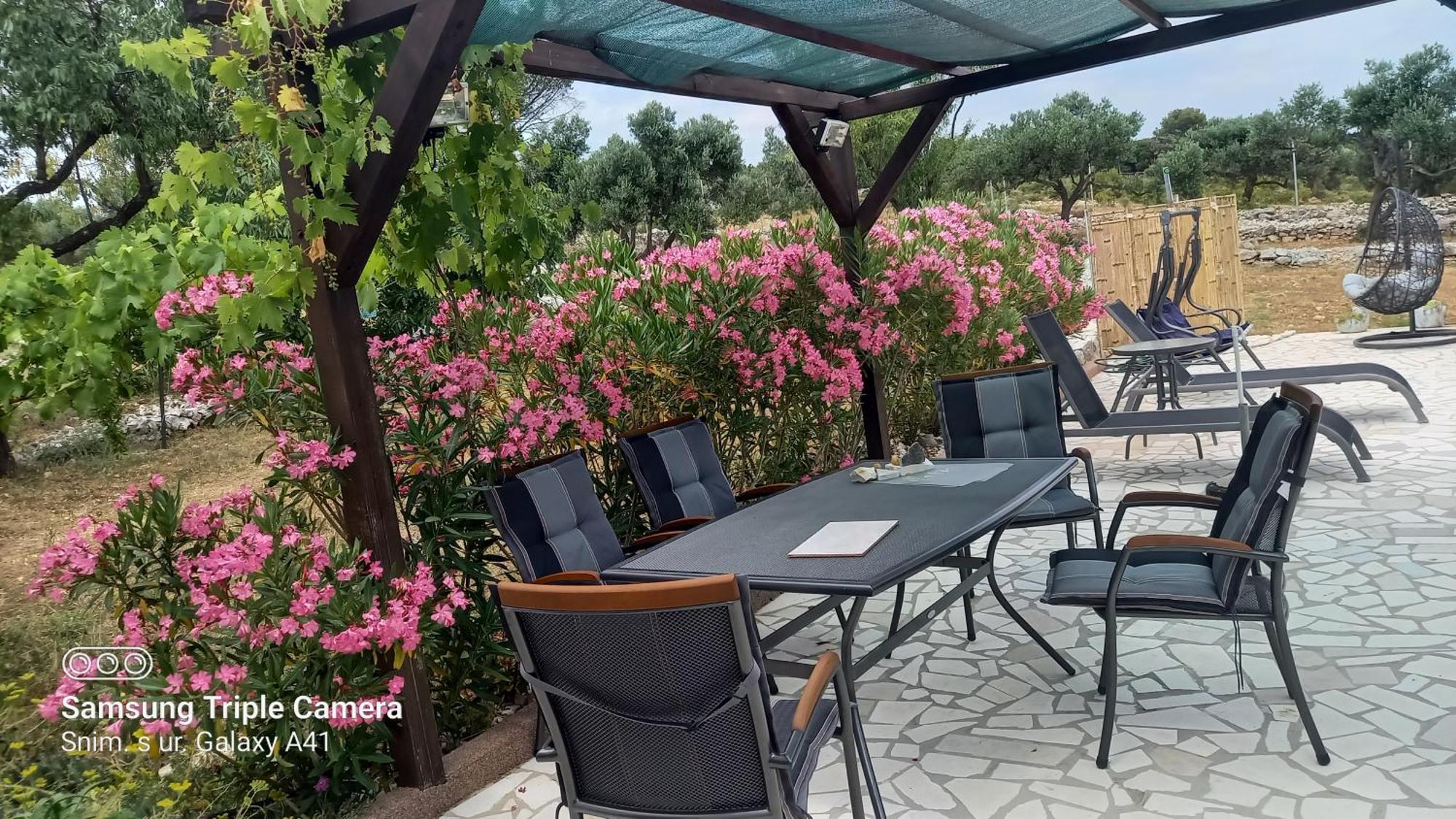 Eco Secluded Apartments Zabodarski Čunski 外观 照片