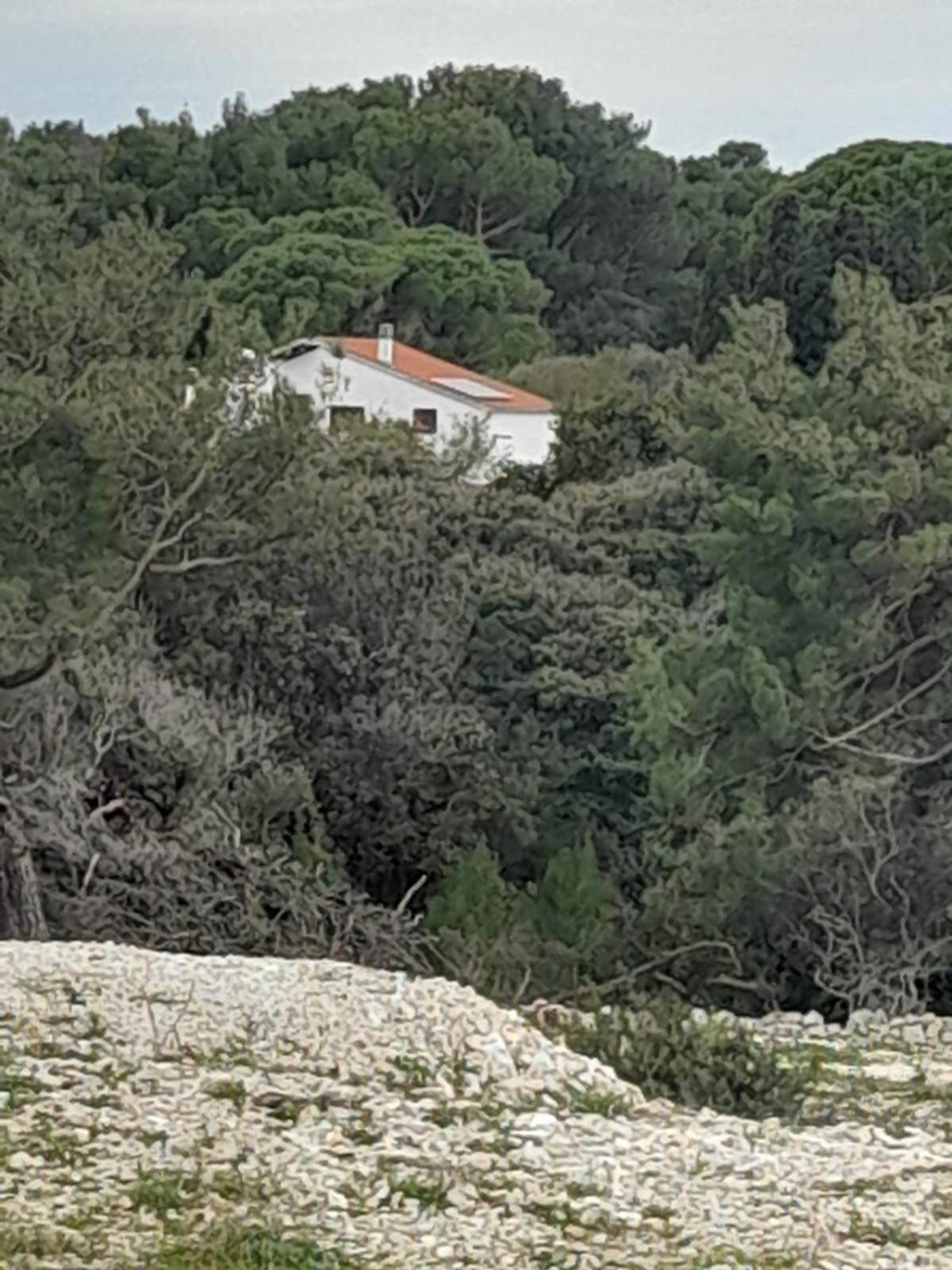 Eco Secluded Apartments Zabodarski Čunski 外观 照片