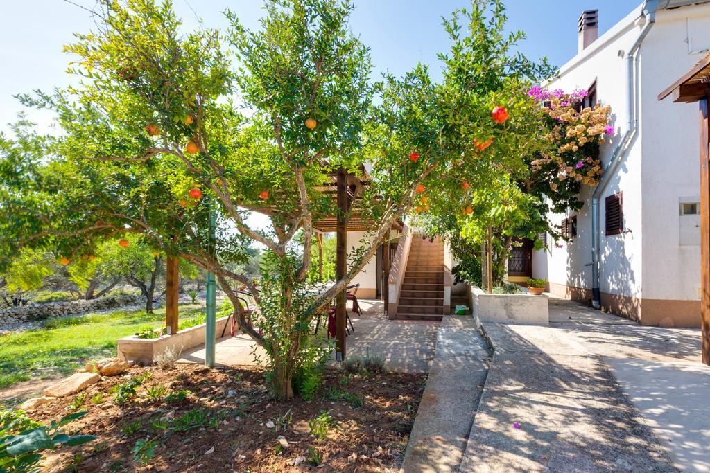 Eco Secluded Apartments Zabodarski Čunski 外观 照片